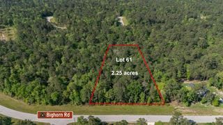 1 Bighorn Road, Huntsville, TX 77340