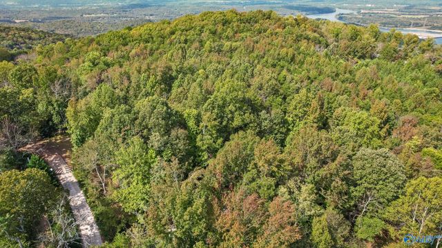 373 County Road 159, Bryant, AL 35958