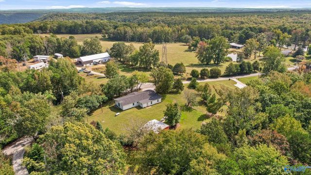 373 County Road 159, Bryant, AL 35958