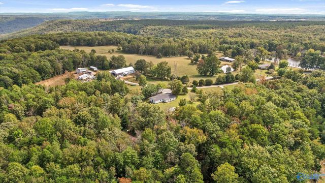373 County Road 159, Bryant, AL 35958