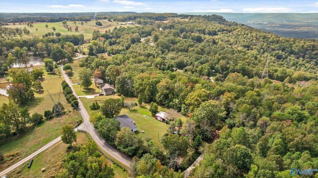 373 County Road 159, Bryant, AL 35958