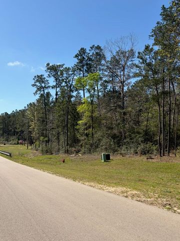 15633 Ridge Rock Road, Willis, TX 77378