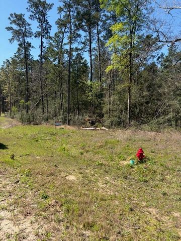 15633 Ridge Rock Road, Willis, TX 77378