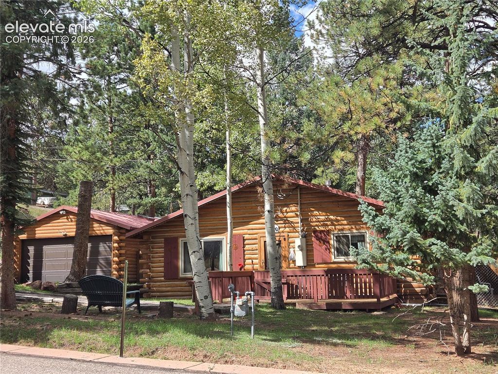 1020 W Lorraine Avenue, Woodland Park, CO 80863 — exterior