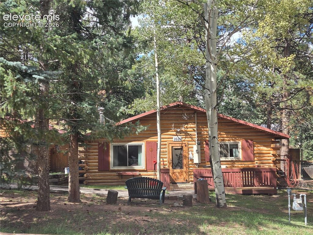 1020 W Lorraine Avenue, Woodland Park, CO 80863 — photo 2