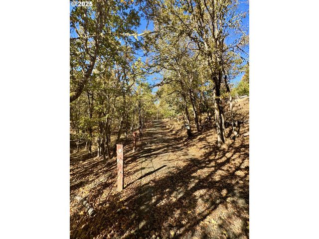 2263 CANYONVILLE RIDDLE Rd, Riddle, OR 97469