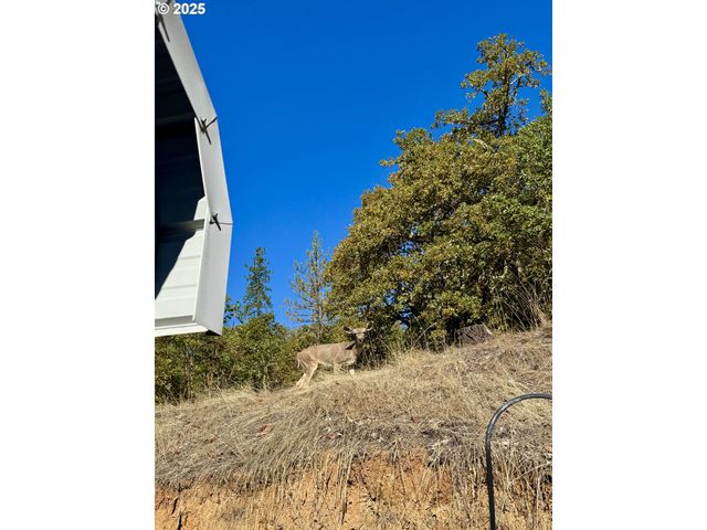 2263 CANYONVILLE RIDDLE Rd, Riddle, OR 97469