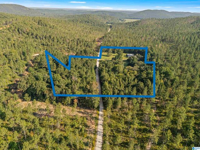 2250 COUNTY ROAD 175, Piedmont, AL 36272