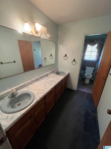 2250 COUNTY ROAD 175, Piedmont, AL 36272