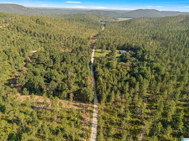 2250 COUNTY ROAD 175, Piedmont, AL 36272