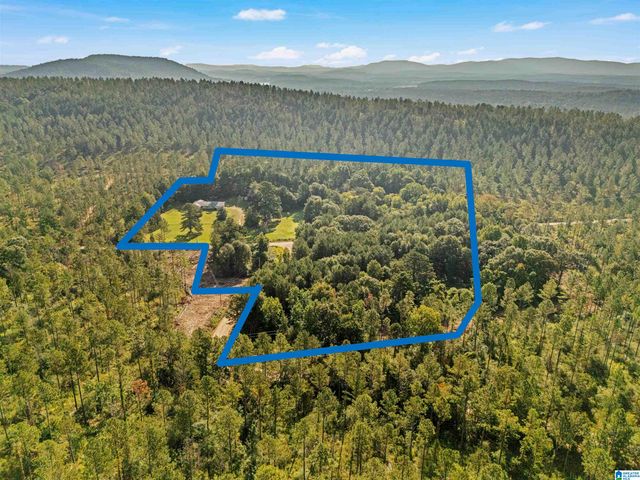 2250 COUNTY ROAD 175, Piedmont, AL 36272