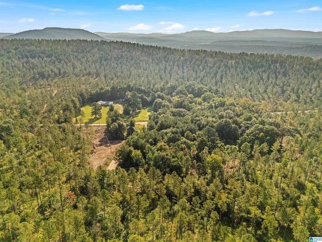 2250 COUNTY ROAD 175, Piedmont, AL 36272