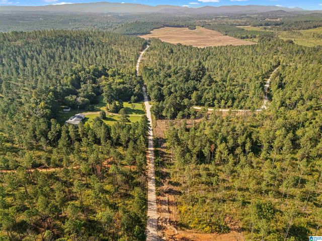 2250 COUNTY ROAD 175, Piedmont, AL 36272