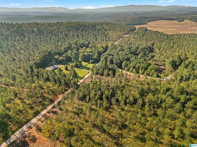 2250 COUNTY ROAD 175, Piedmont, AL 36272