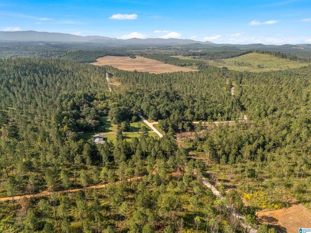 2250 COUNTY ROAD 175, Piedmont, AL 36272