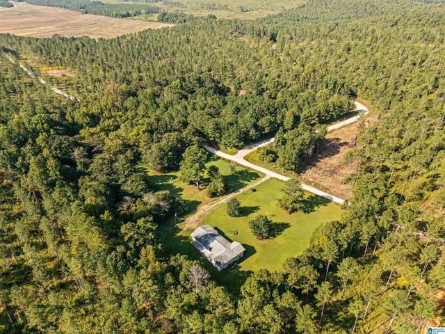 2250 COUNTY ROAD 175, Piedmont, AL 36272