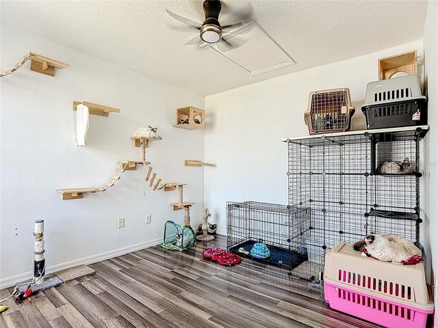 236 ORCHID DRIVE, Davenport, FL 33897