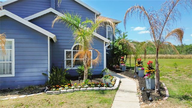 236 ORCHID DRIVE, Davenport, FL 33897