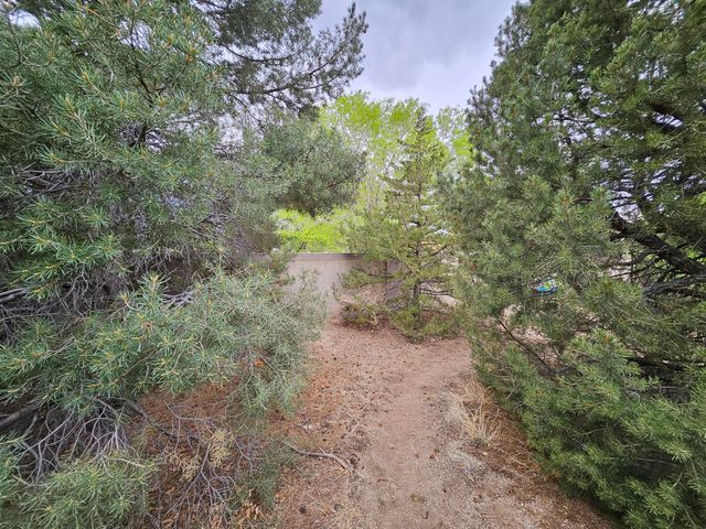 14104 PIEDRAS Road NE, Albuquerque, NM 87123