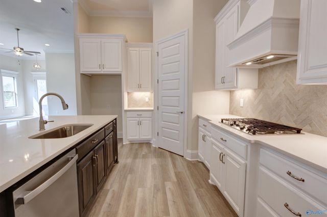 12370 Narayan Street, Madison, AL 35756