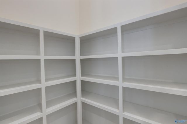 12370 Narayan Street, Madison, AL 35756