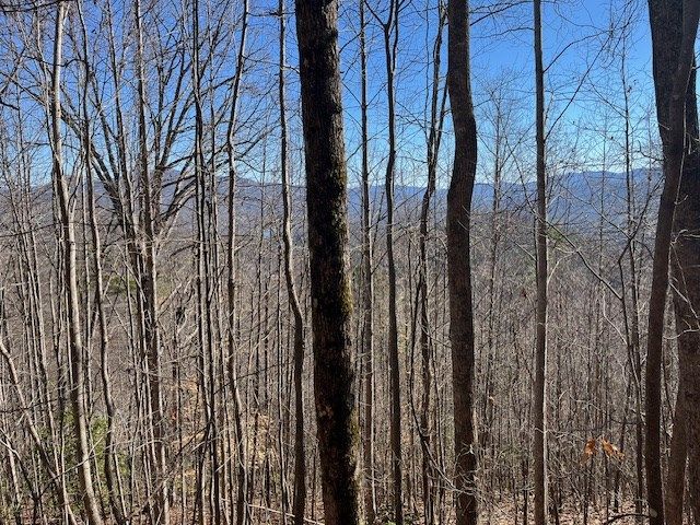 Lot 31 Hidden Summit Road, Hiawassee, GA 30546