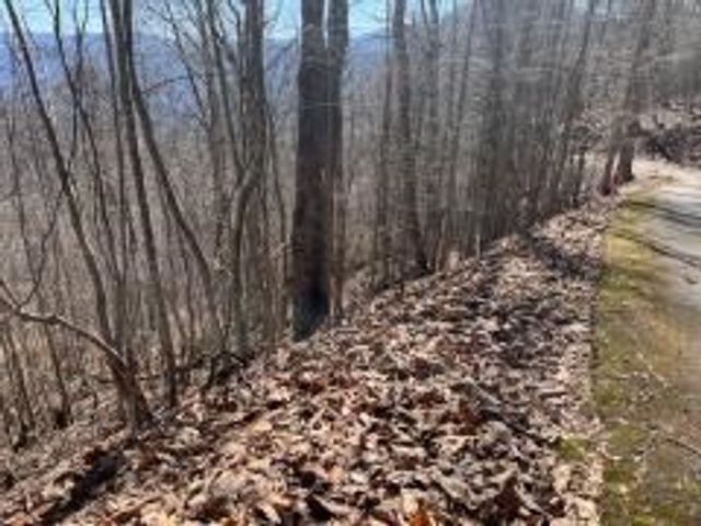 Lot 31 Hidden Summit Road, Hiawassee, GA 30546