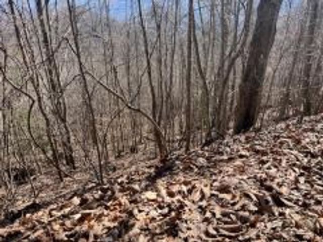 Lot 31 Hidden Summit Road, Hiawassee, GA 30546