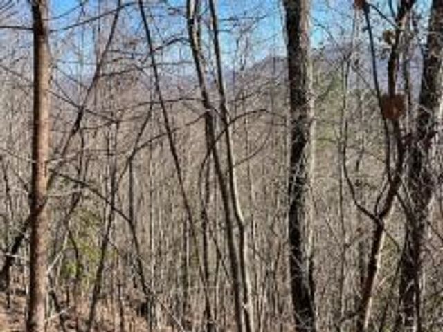 Lot 31 Hidden Summit Road, Hiawassee, GA 30546