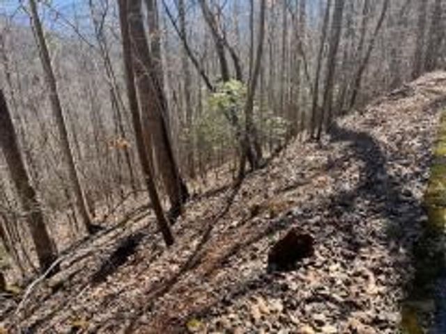 Lot 31 Hidden Summit Road, Hiawassee, GA 30546