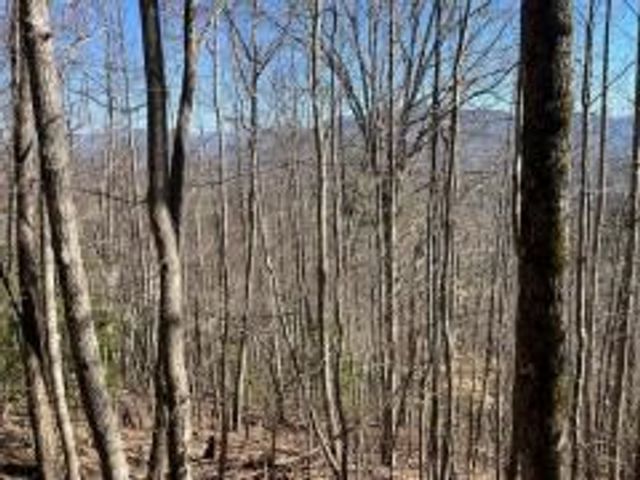 Lot 31 Hidden Summit Road, Hiawassee, GA 30546
