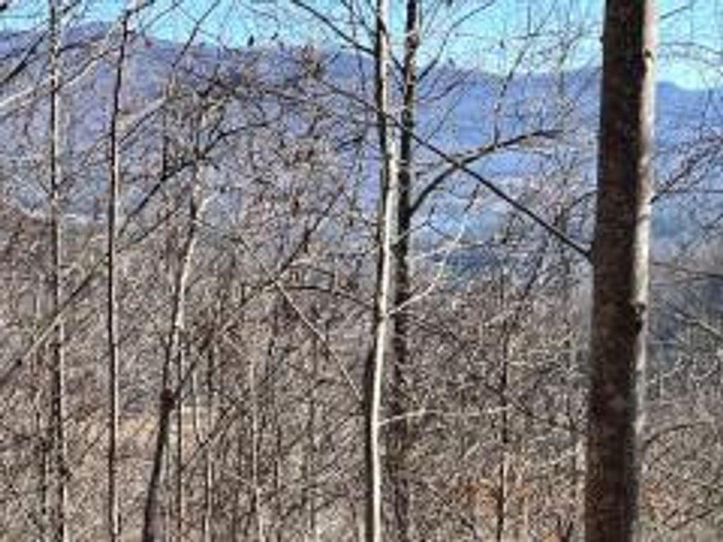 Lot 31 Hidden Summit Road, Hiawassee, GA 30546