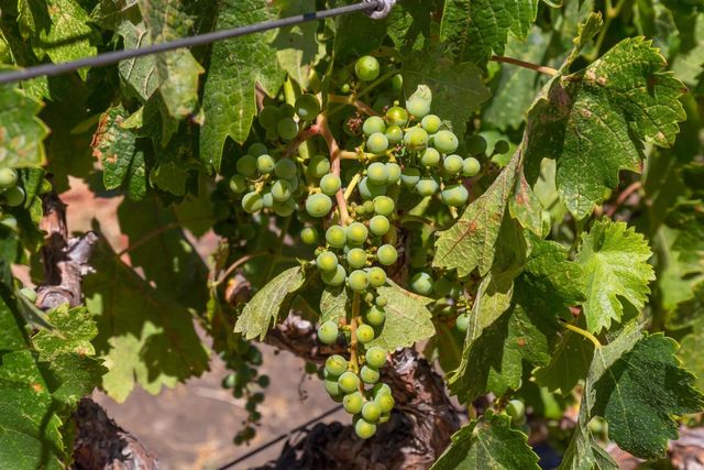 741 Riverside Road, Hollister, CA 95023