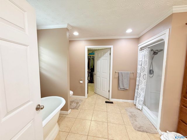 249 Union Road, Somerville, AL 35670