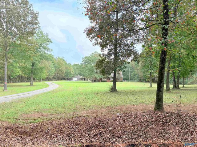 249 Union Road, Somerville, AL 35670
