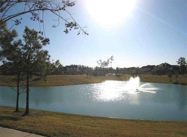 12619 Wandering Streams Drive, Tomball, TX 77377