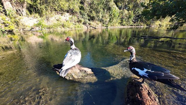 10485 Fm 466, Seguin, TX 78155