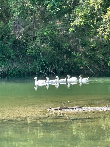 10485 Fm 466, Seguin, TX 78155