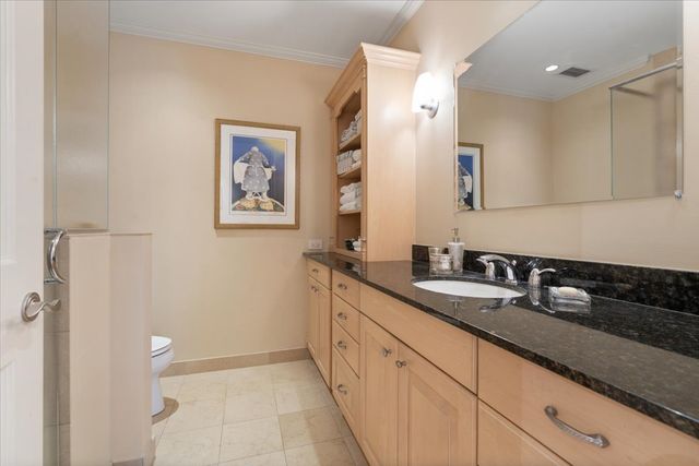 55 E Erie Street 3205, Chicago, IL 60611