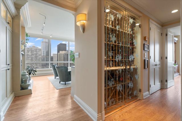 55 E Erie Street 3205, Chicago, IL 60611
