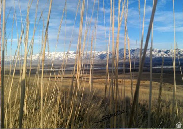 2666 VALLEY VW, Mendon, UT 84325