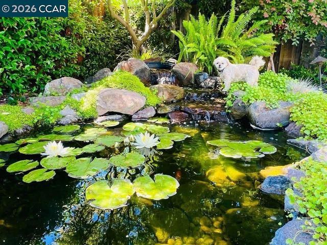 4485 Amiens Ave, Fremont, CA 94555