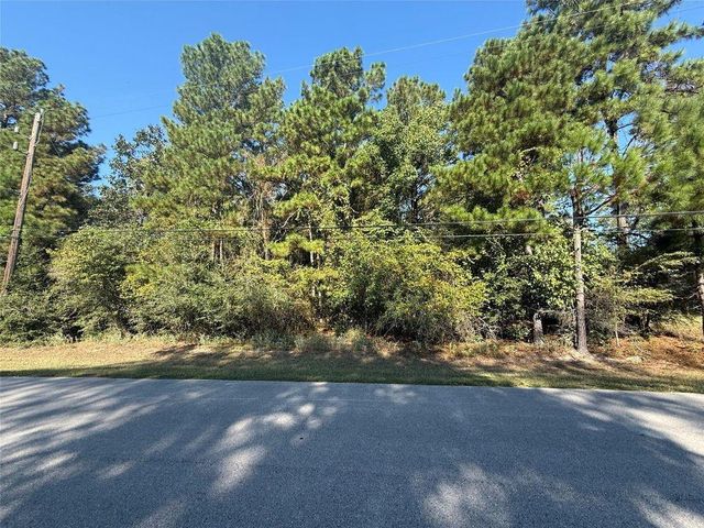 0 Lago Drive, Magnolia, TX 77354