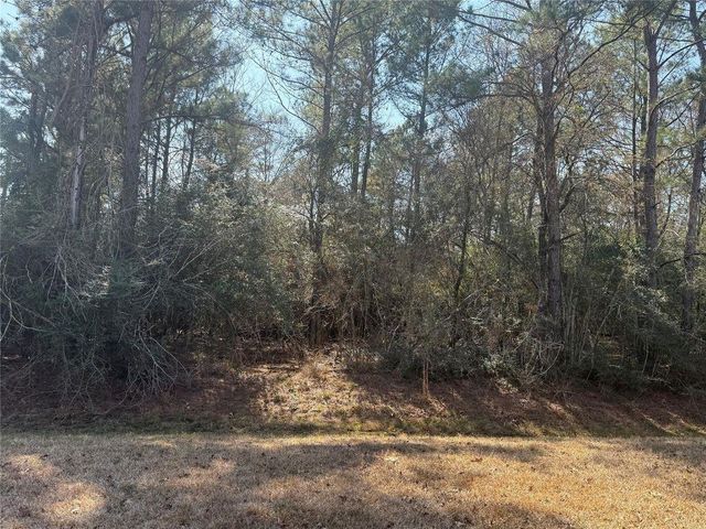 0 Lago Drive, Magnolia, TX 77354