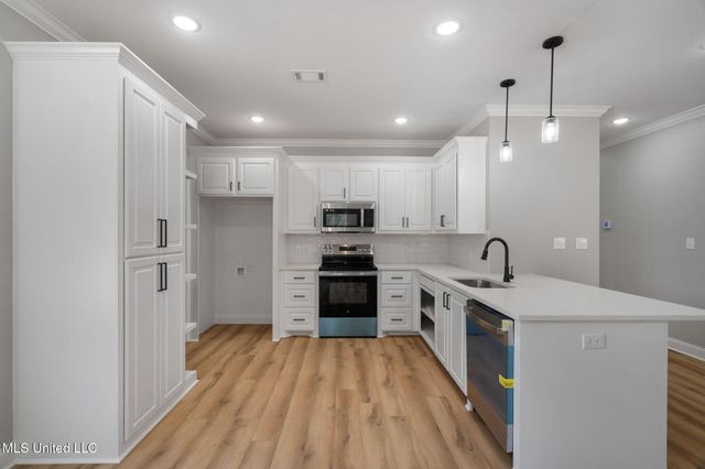 158 Woodbridge Lane, Seminary, MS 39479