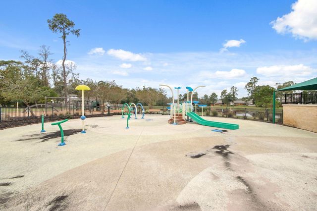 227 Brazen Forest Trail, Magnolia, TX 77354