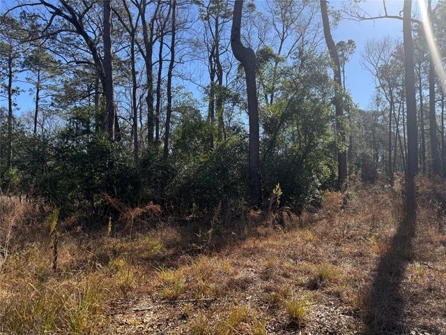 247 & 248 Cypress Street, Huffman, TX 77336