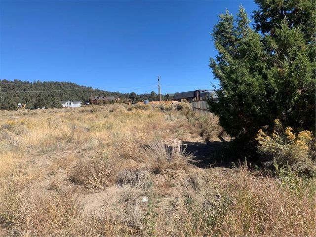 1883 Edgerton, Big Bear City, CA 92314
