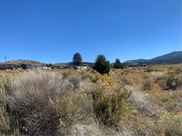 1883 Edgerton, Big Bear City, CA 92314