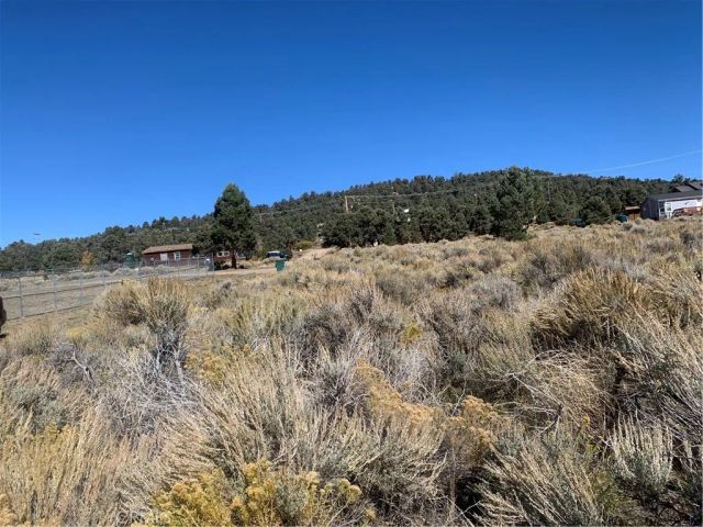 1883 Edgerton, Big Bear City, CA 92314
